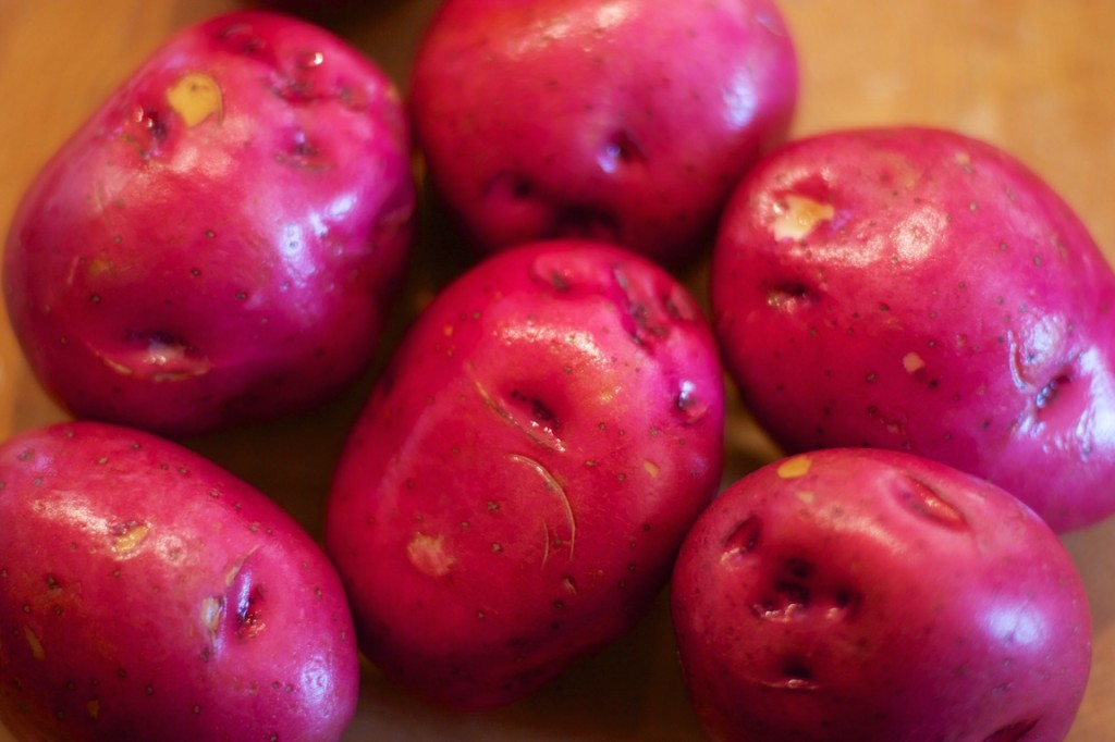 Freshly washed red bliss potatoes (any waxy potato will do)